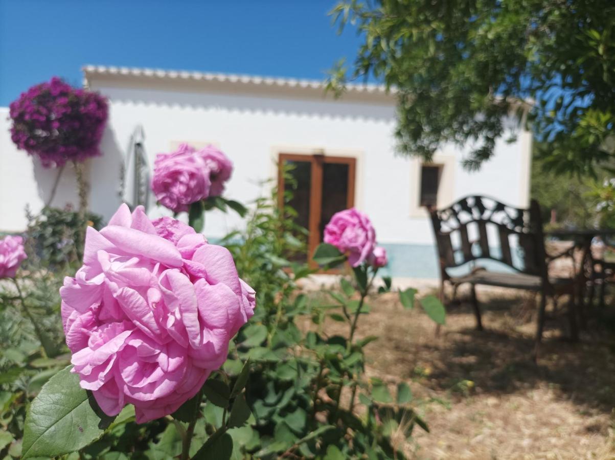 Can Pep Pardal Sant Miquel de Balansat Esterno foto